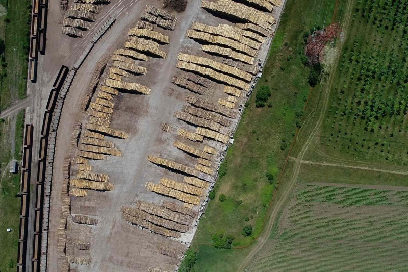 Eastern Europe’s Biggest Wood Processor Demanded Free Timber From Suppliers For Years