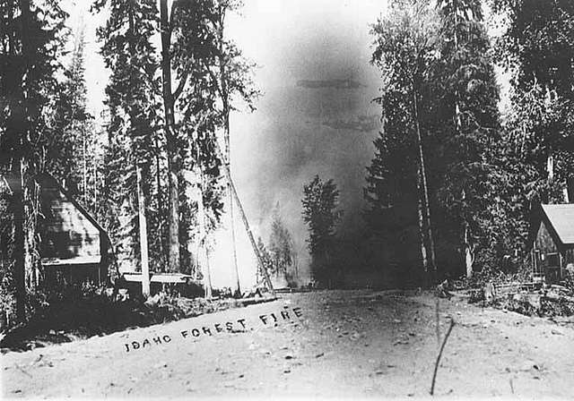 The Great Fire of 1910, USA 10 Biggest Wildfires In World History