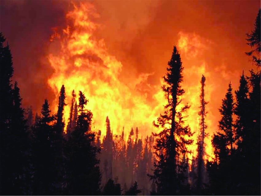 6. Alaska Fire Season, Alaska, US (2004)