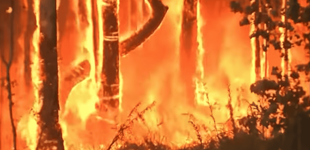 10 Biggest Wildfires In World History australia