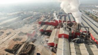Romania's Logging Industry Continues to Cheat the Timber Tracing System
