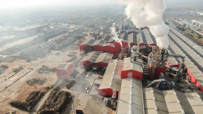 Romania's Logging Industry Continues to Cheat the Timber Tracing System