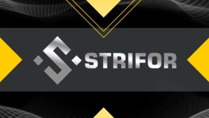 Overview of Strifor broker: what opportunities are there for clients of the service