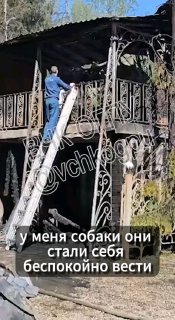The owner of a house in SNT "Snegir" in the Moscow region, where they died in a fire that night...