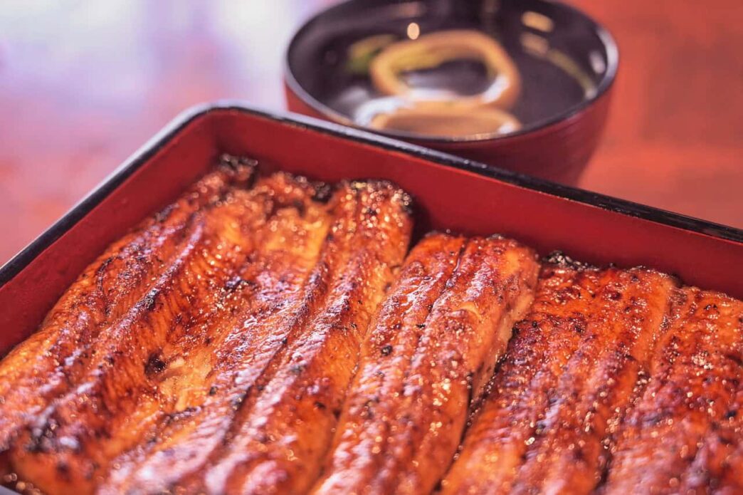 Grilled eel leaves one dead, 140 sick in Japan