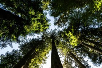 What is the significance of Biodiversity?