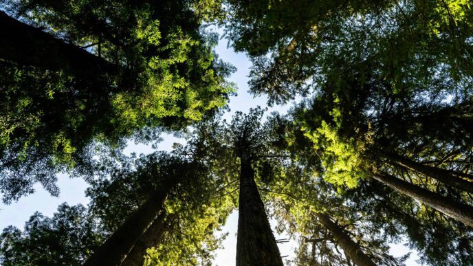 What is the significance of Biodiversity?