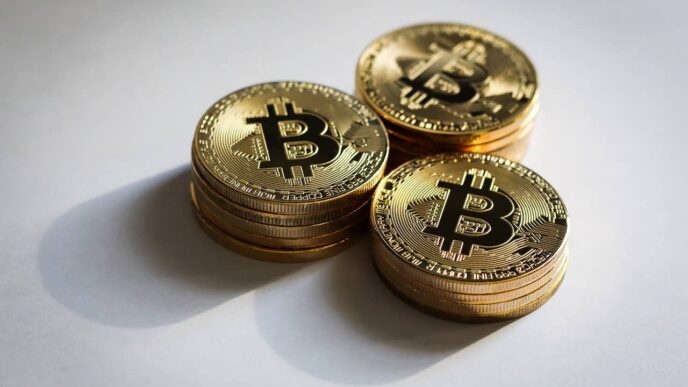 Bitcoin’s Place in the Future of Money
