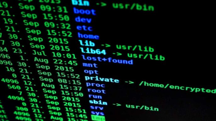 Several US government agencies hit in a global cyberattack: report