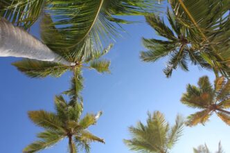 Exploring Punta Cana in 2024 by Sea: The Best Boat Rentals for Tourists