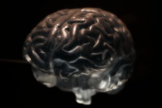 Why Are Neurons So Important?