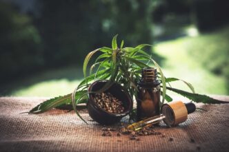 How CBD Can Benefit Your Pets – What You Need to Know