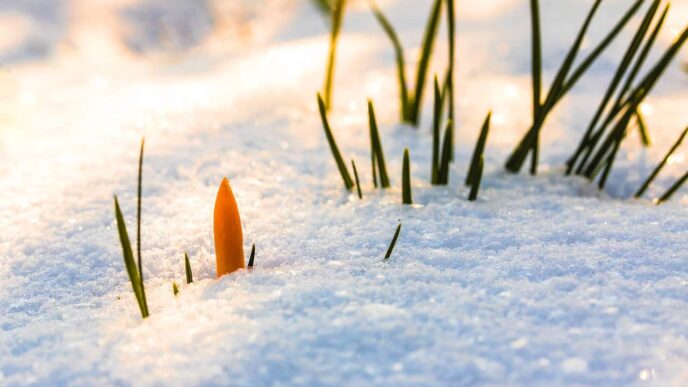 How to Pass the Time Over Winter and Spring