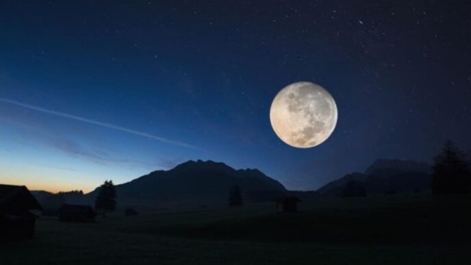 7 Green and Clean Activities for the Virgo Full Moon