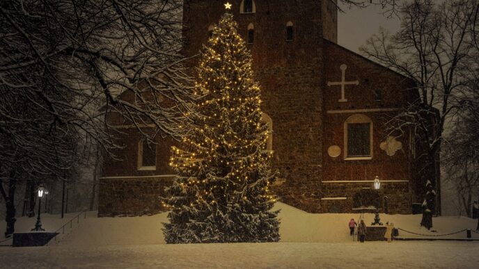Don’t eat your Christmas tree, warns Belgium food agency