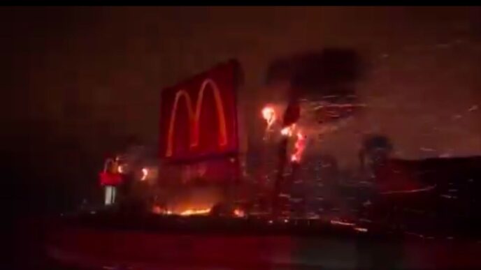 Los Angeles wildfires in figures