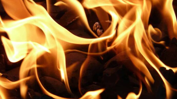 Georgian man arrested after allegedly setting wife on fire in Germany