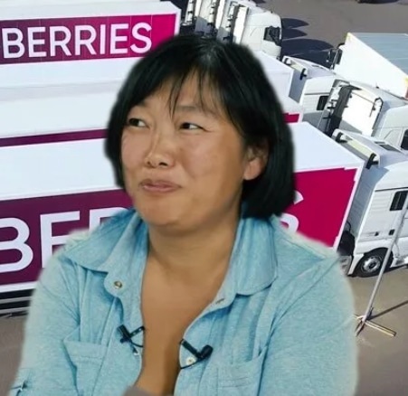 Battle of Wildberries: Who is whom? Battle of Wildberries: Who is whom?